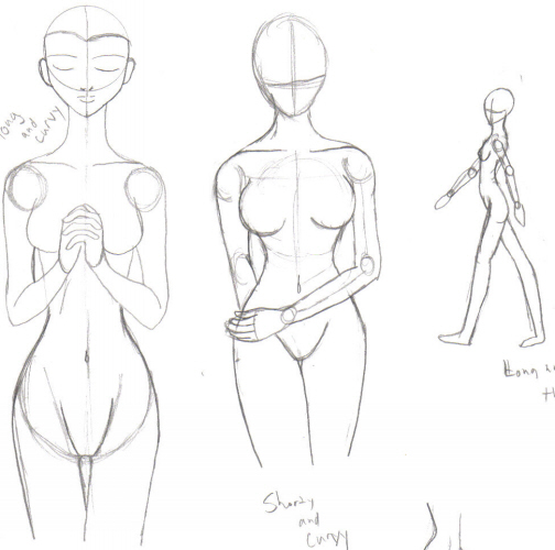 different women body types. The form of the ody takes on