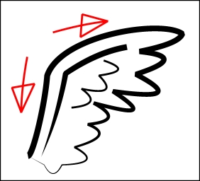 feathered-wing.jpg